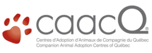 Logo de la caacQ
