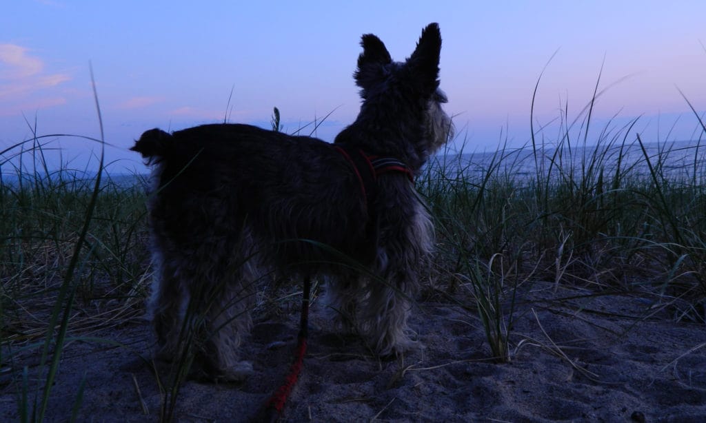 Ma belle Heidi en Ontario