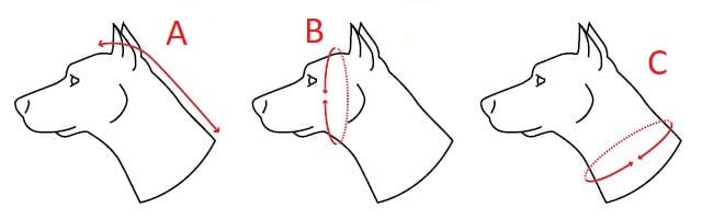 Comment mesurer pour les écharpes summit pour chiens