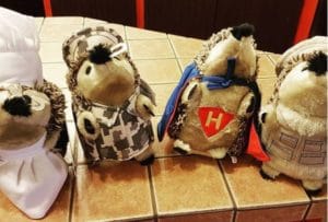 Jouets pour chiens Heggies