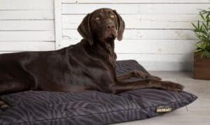 scruffs en mousse mémoire