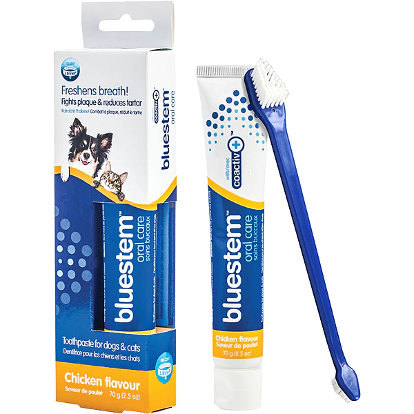 Kit de dentifrice et brosse à dent pour chien et chat