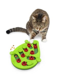 Nina Ottosson, Puzzle Buggin'out pour Chat