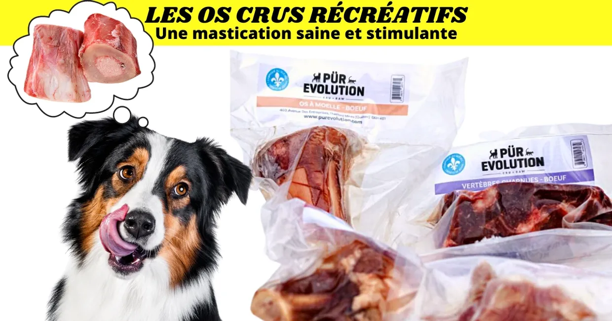 Pur Evolution OS d'Articulation complète de bœuf