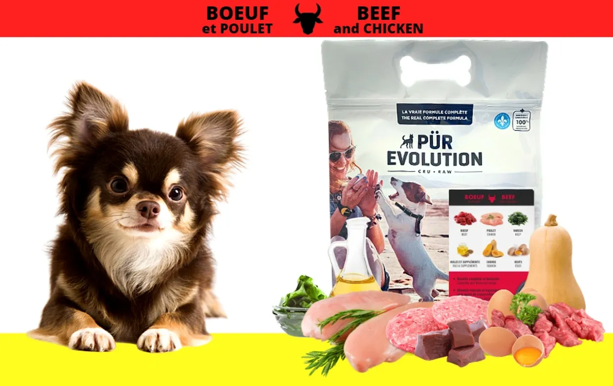 Pur Évolution - Bœuf et Poulet