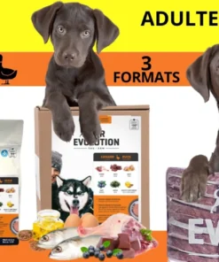 Pur Évolution - Canard et Baies