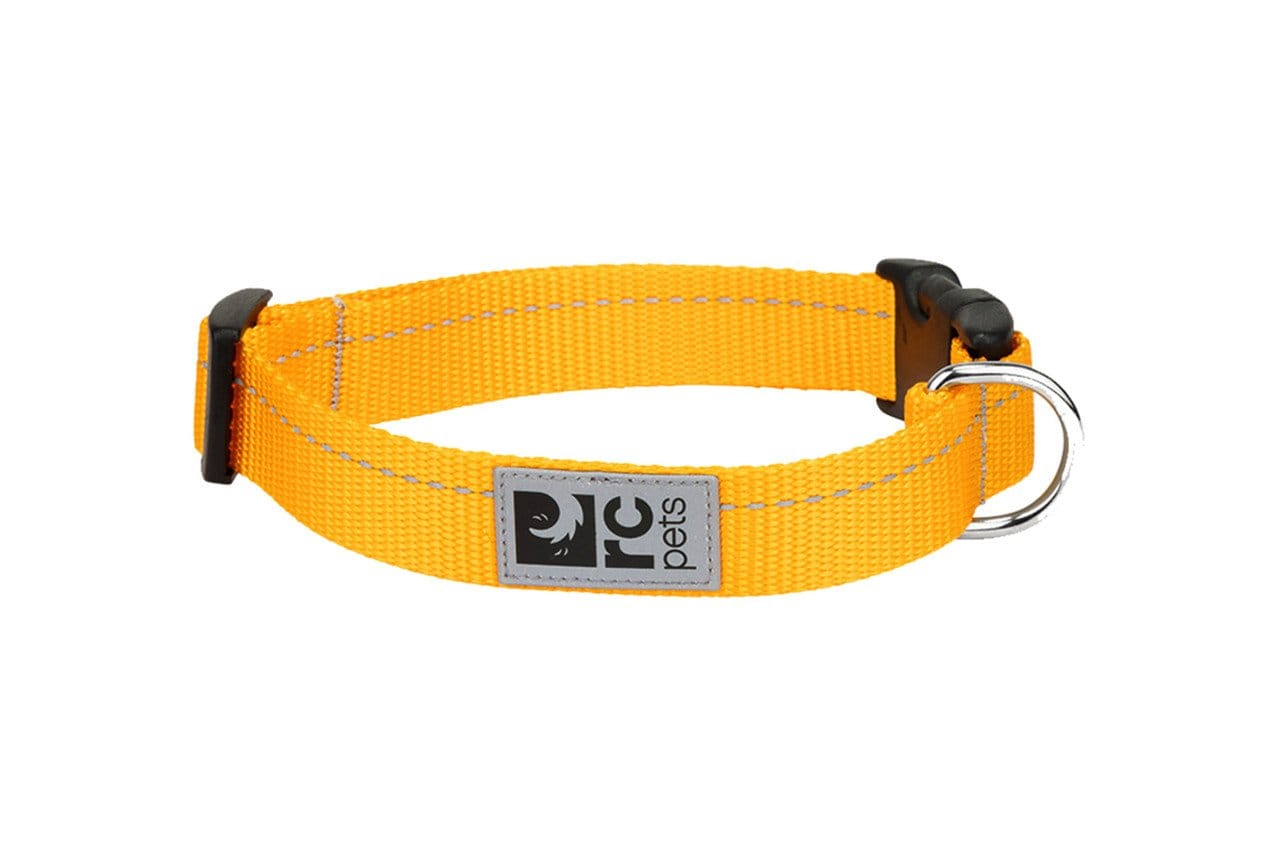 rcpets, Collier Primary Kitty pour chat