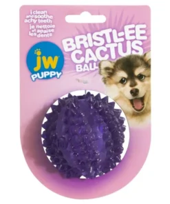JW Pet, Balle Bristl-ee Cactus pour chiots