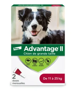 Advantage II pour les chiens de 11 kg à 25 kg