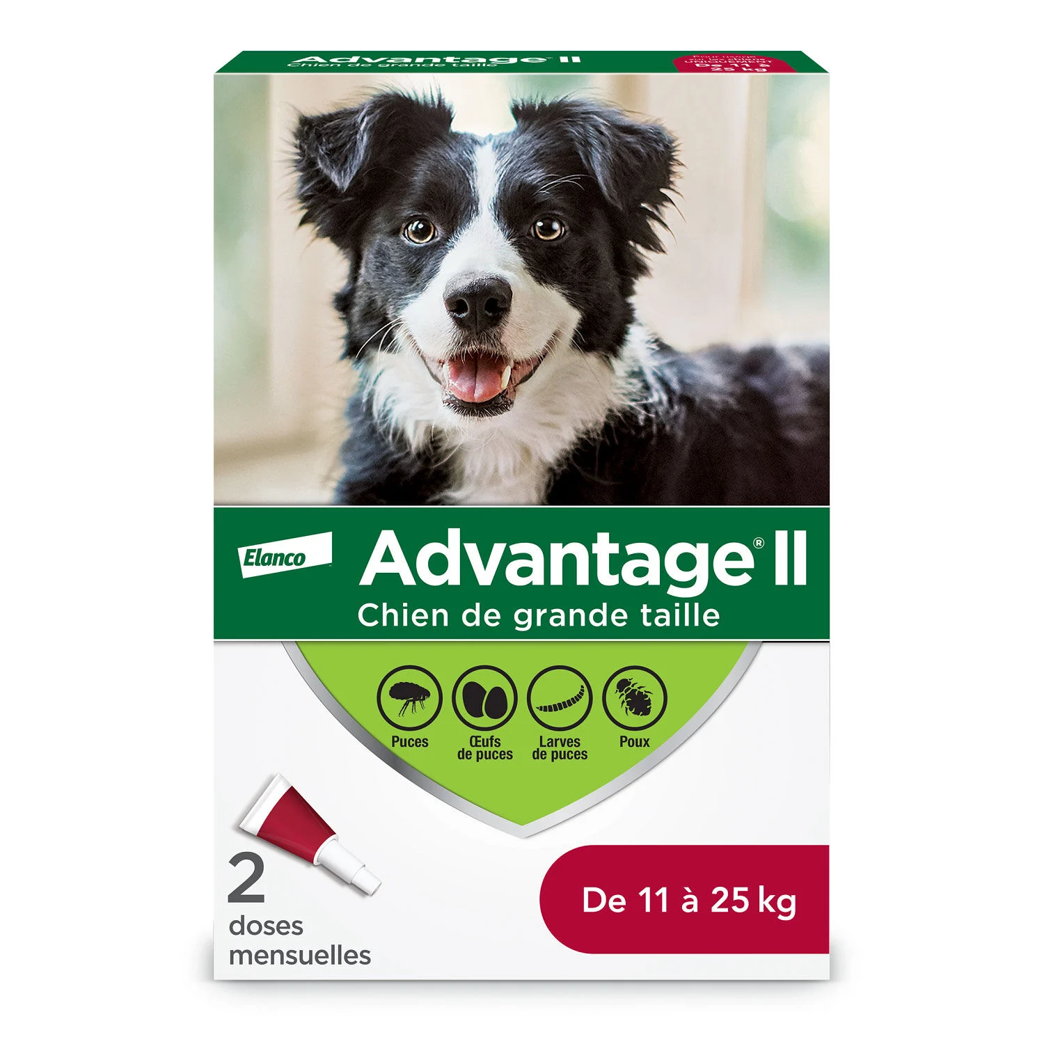 Advantage II pour les chiens de 11 kg à 25 kg