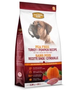 Alternative view of Wholesome Blend Sans Pois - Dinde et citrouille