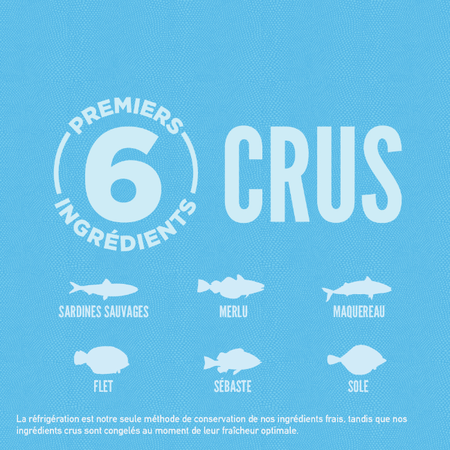 Orijen 6 Poissons pour Chat – Image 4