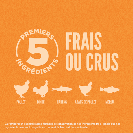 Orijen Formule Originale pour Chat – Image 4