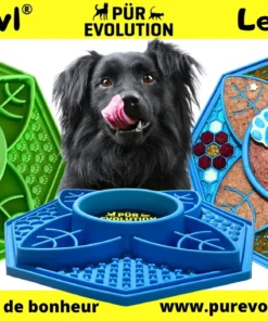 Pur Evolution, Likeabowl Floral