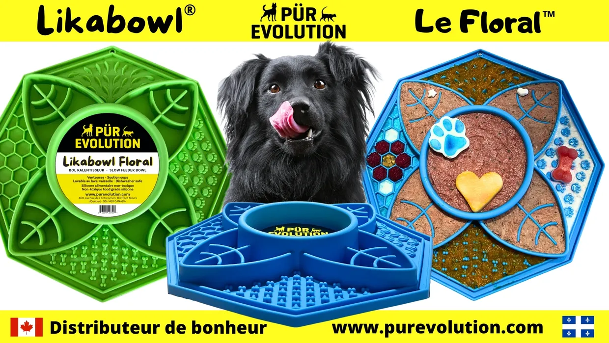 Pur Evolution, Likeabowl Floral