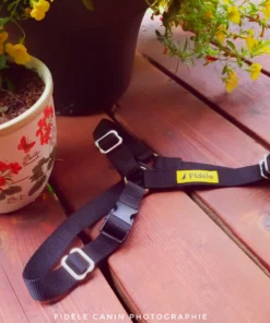 Harnais Fidèle XP (1-4lb)