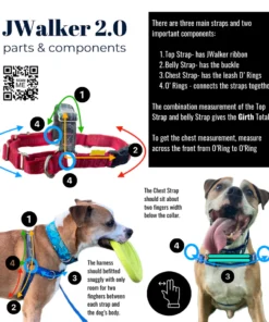 Alternative view of JWalker, Harnais pour chiens