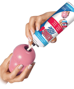 Alternative view of Kong pour Chiot