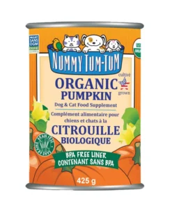 Nummy Tum-Tum, Citrouille biologique, 425g