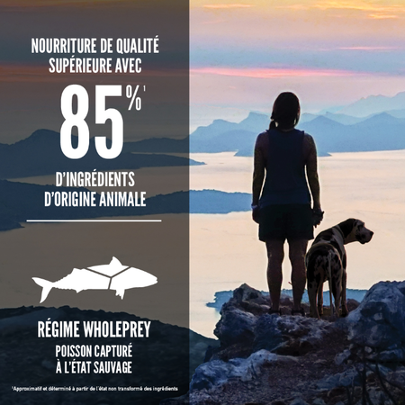 Orijen 6 Poissons pour Chiens – Image 4