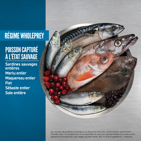 Orijen 6 Poissons pour Chiens – Image 2
