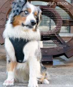 Pretty Paw, Berlin Steel