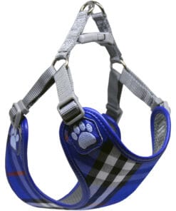 Pretty Paw, Edinburgh Blue