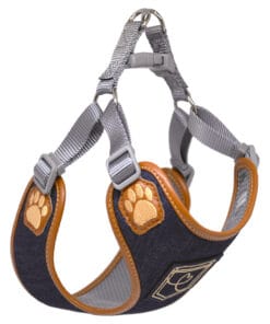 Pretty Paw, Levis-Strauss