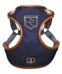 Alternative view of Pretty Paw, Levis-Strauss