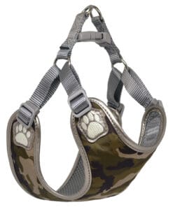 Pretty Paw, Rambo Camo