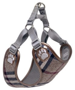 Pretty Paw, Scotland Taupe