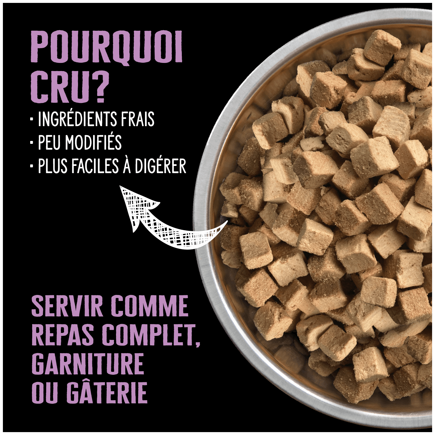 Nutrience SUBZERO, Cru Séché à Froid pour Chien au Porc – Image 5