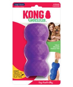 Alternative view of Kong Genius, Mike le Génie