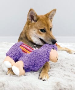 Alternative view of Kong Sherps, Lama