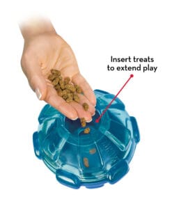 Kong, Rewards, Balle bleue à Friandises