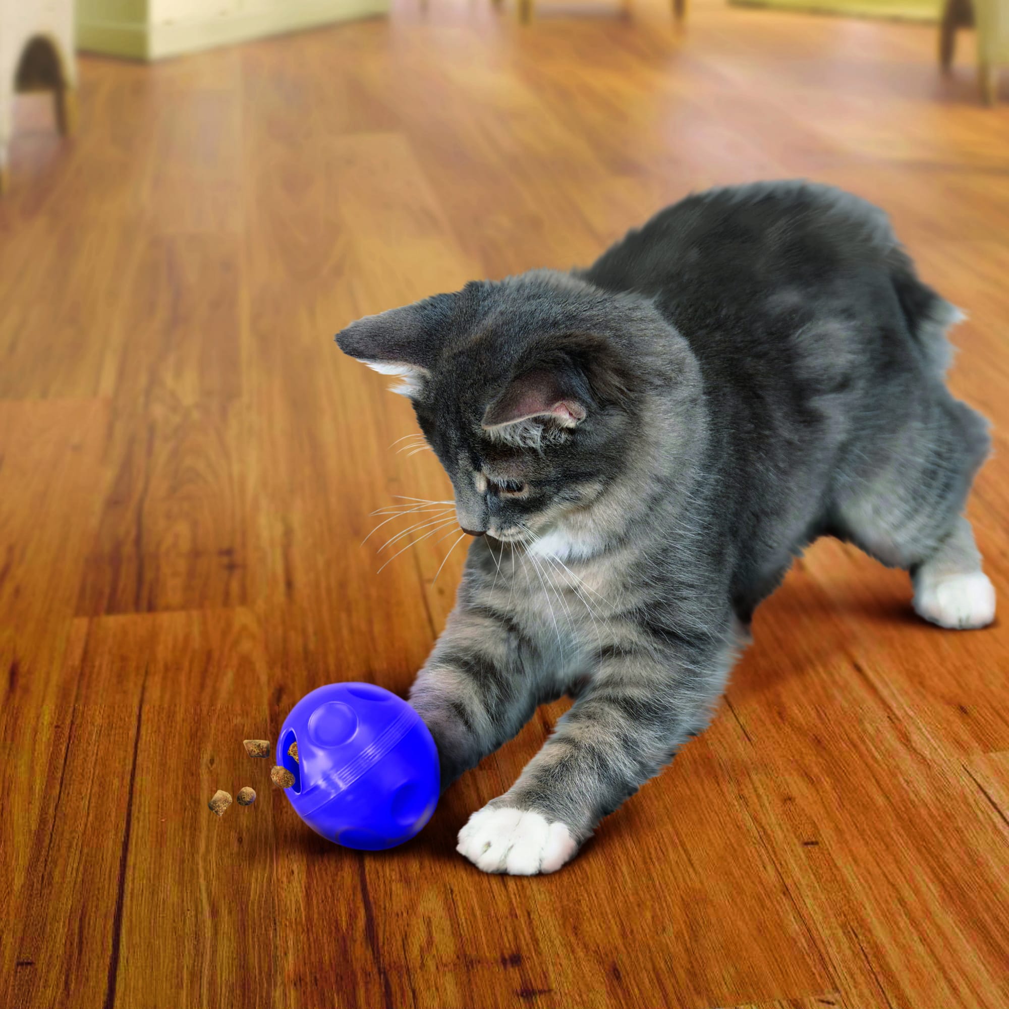Kong, Balle distributrice de gâteries pour chat – Image 2