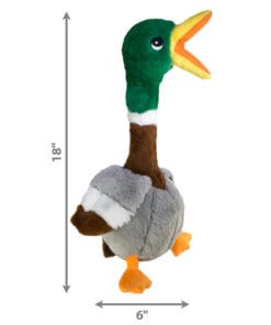 Alternative view of Kong Shakers Honkers, Le Canard