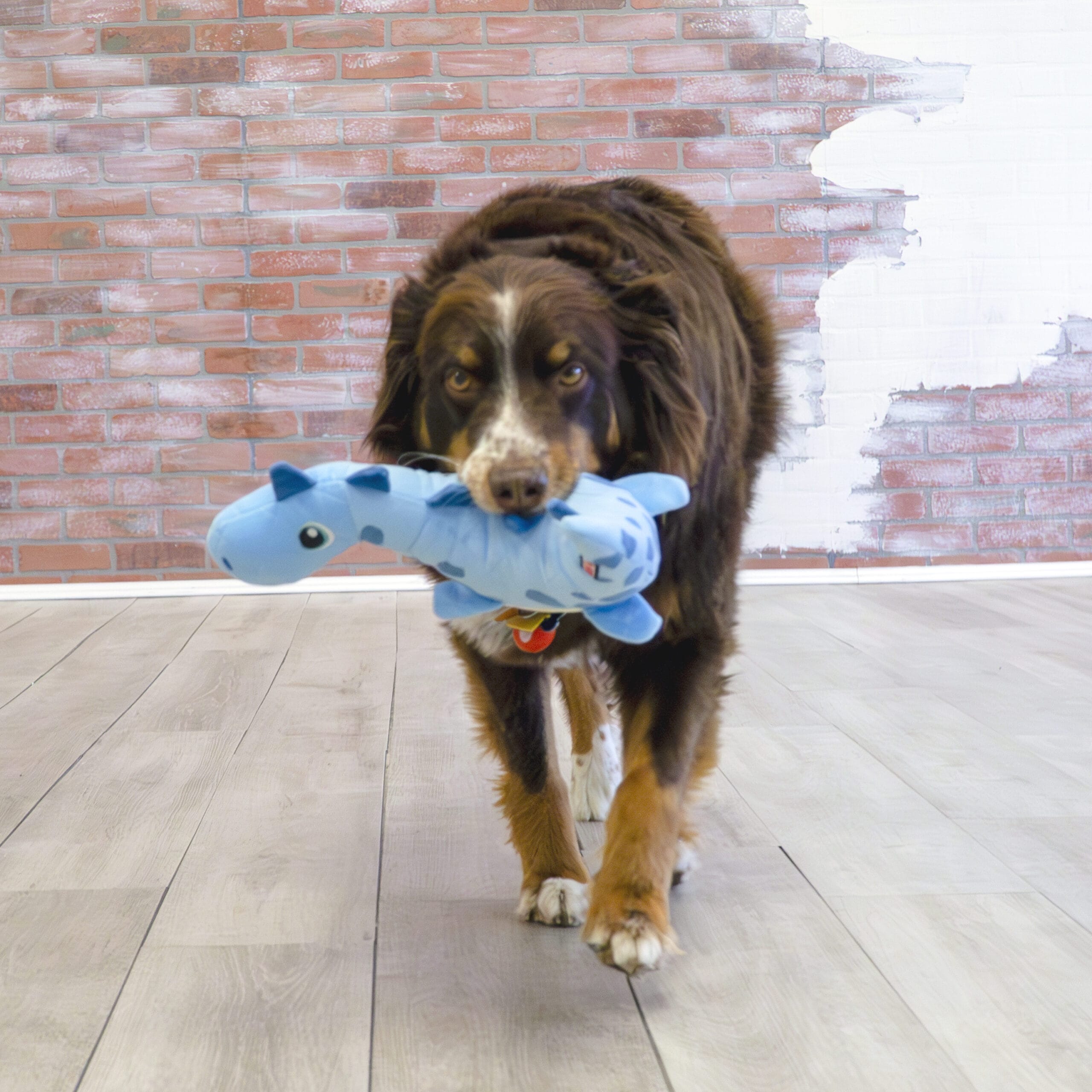 Kong Dynos Rugit Bleu – Image 3