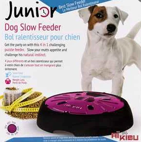 Aikiou, Bol interactif Junior pour Chiens – Image 3