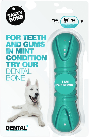 Tasty Bone, Os dentaire
