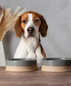 Alternative view of Scruffs, Bols Scandi Gris