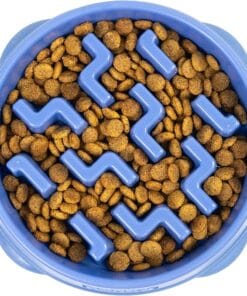 Outward Hound, Les Bols Ralentisseurs "Fun Feeder"