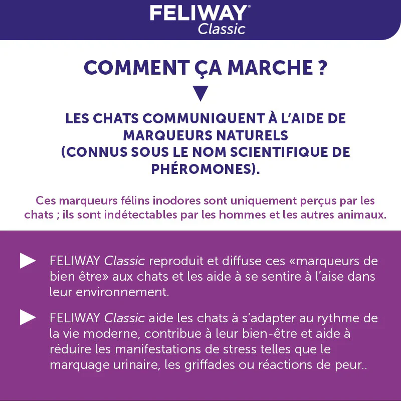 FELIWAY CLASSIC - Kit de départ avec Diffuseur pour 30 jours – Image 3