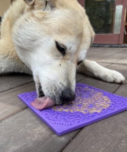 Alternative view of sodapup, Planche à lécher Mauve - Os