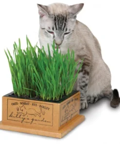 Alternative view of Smart Cat, Le jardin d'Herbes avec le Boitier