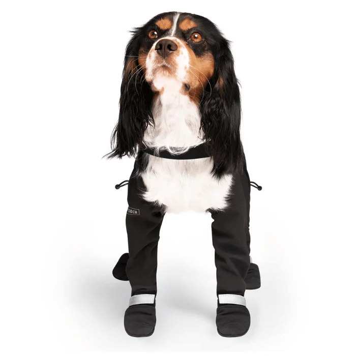Canada Pooch, Bottes et manches auto-portantes – Image 6