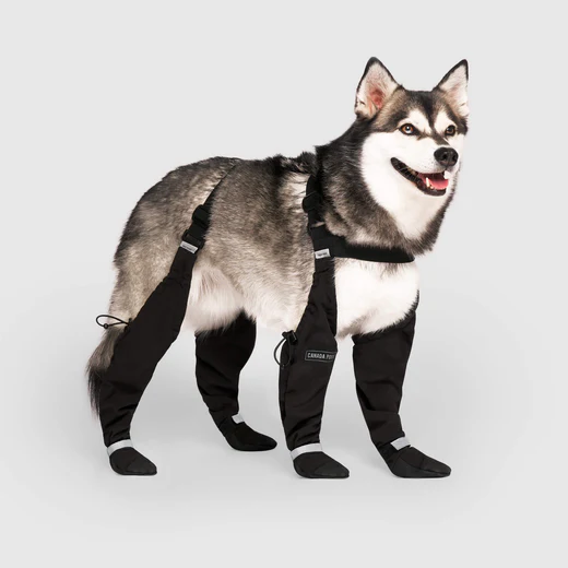 Canada Pooch, Bottes et manches auto-portantes – Image 5