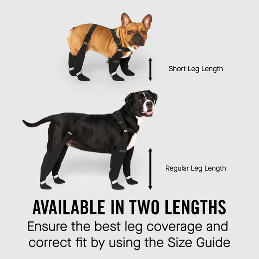 Canada Pooch, Bottes et manches auto-portantes – Image 4