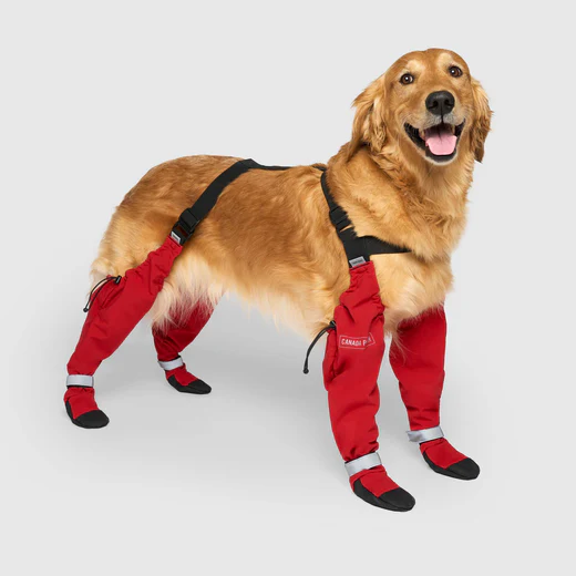 Canada Pooch, Bottes et manches auto-portantes – Image 2