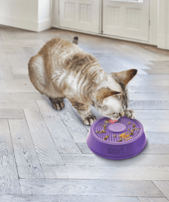 Alternative view of Kong Licks, Le Petit Bol tournant Spinz à lécher